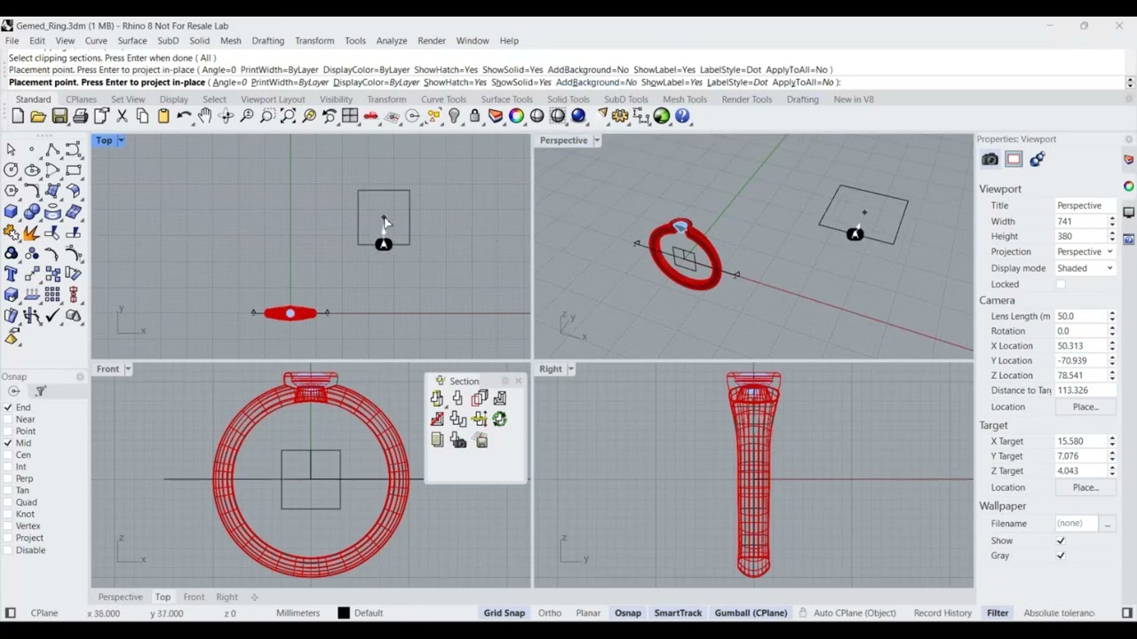Rhino 8 Sections