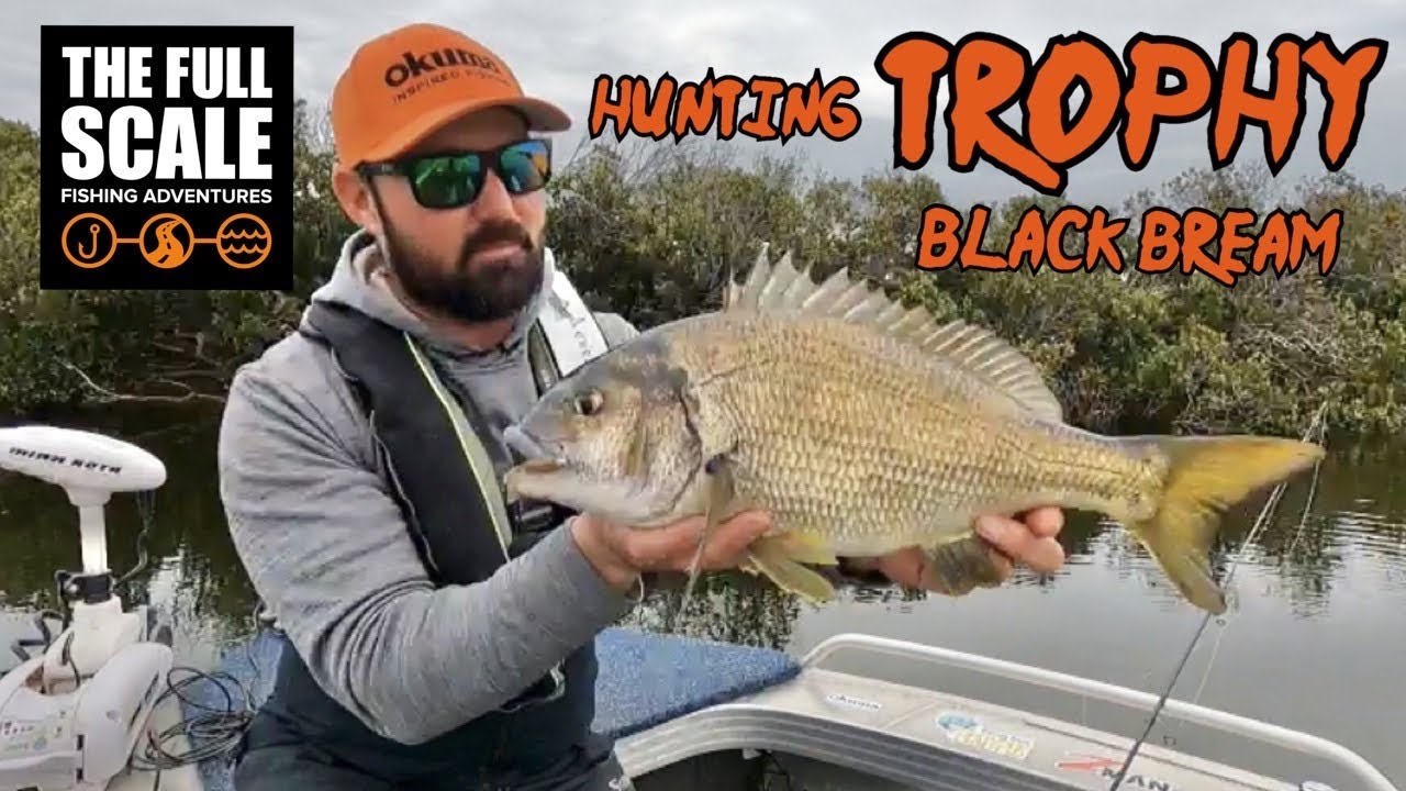 Hunting TROPHY Black Bream | The Full Scale