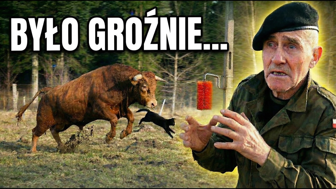 RUSZYŁ za kotem&hellip; i wtedy ZACZĘŁO się naprawdę NIEBEZPIECZNIE