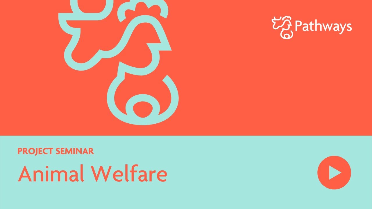 What Is Animal Welfare? Descriptions and Definitions - Seminar | PATHWAYS