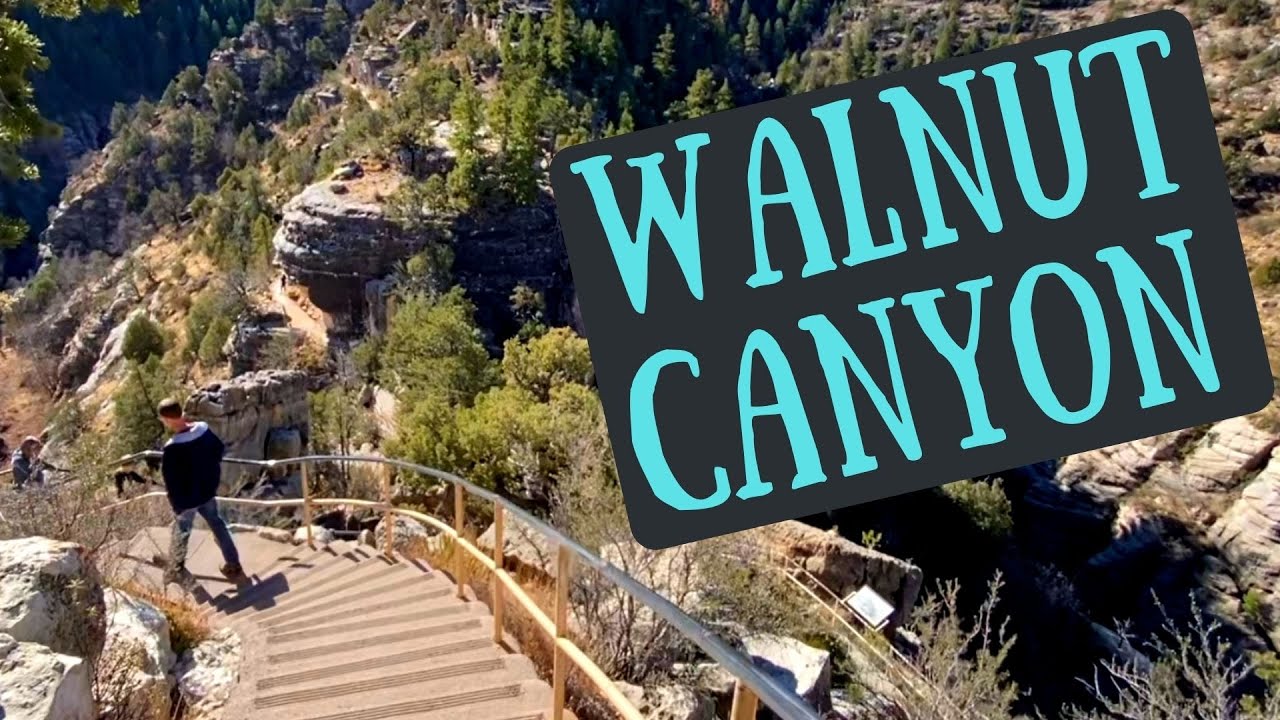 Walnut Canyon National Monument | Things to do | Flagstaff AZ