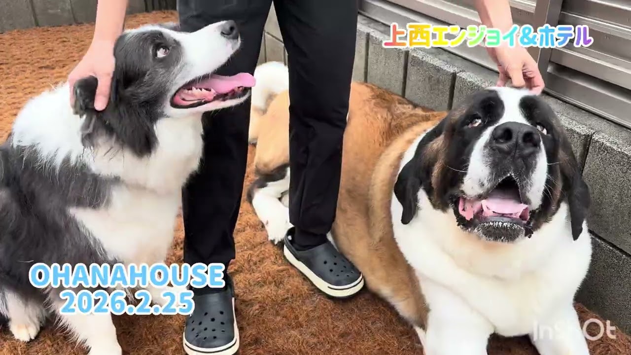 上西エンジョイ&ホテル