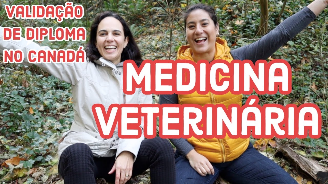 Como validar o diploma de Medicina Veterinária no Canadá! | PASSO A PASSO