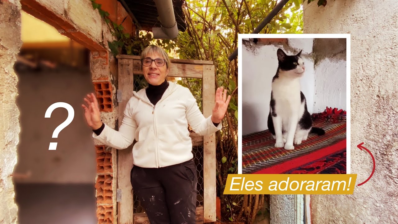 Melhorei a casinha dos gatos! + momento de descanso com lanche delicioso 🥪| vlog no campo 🌿🌳