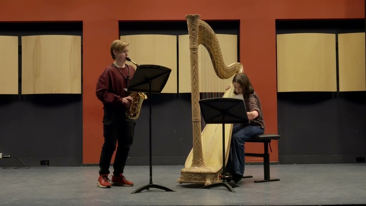 Nora Gommers & Axel van de Sluis - Mist & Fly