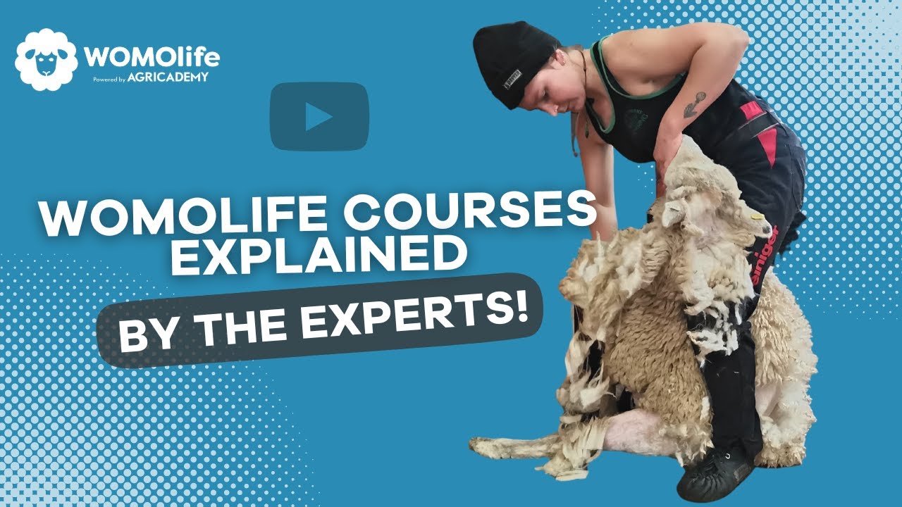 Amber Poihipi, Tina Elers and Leo Smith explain WOMOlife Courses!