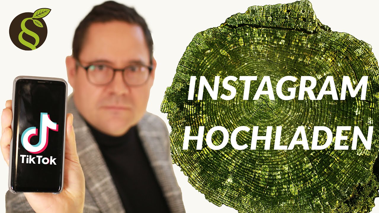 Fremde TikTok Videos auf Instagram hochladen