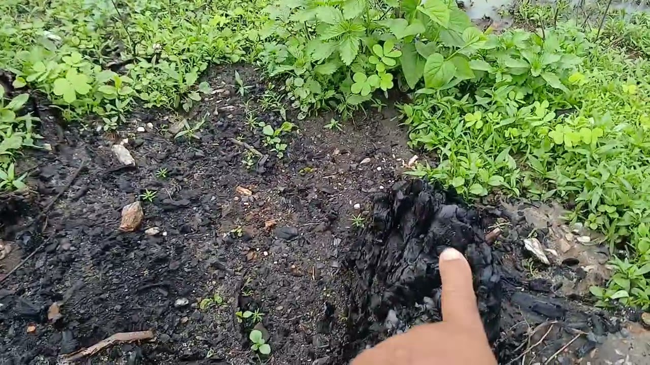 Muita chuva boa  a noite  Deus é maravilhoso 