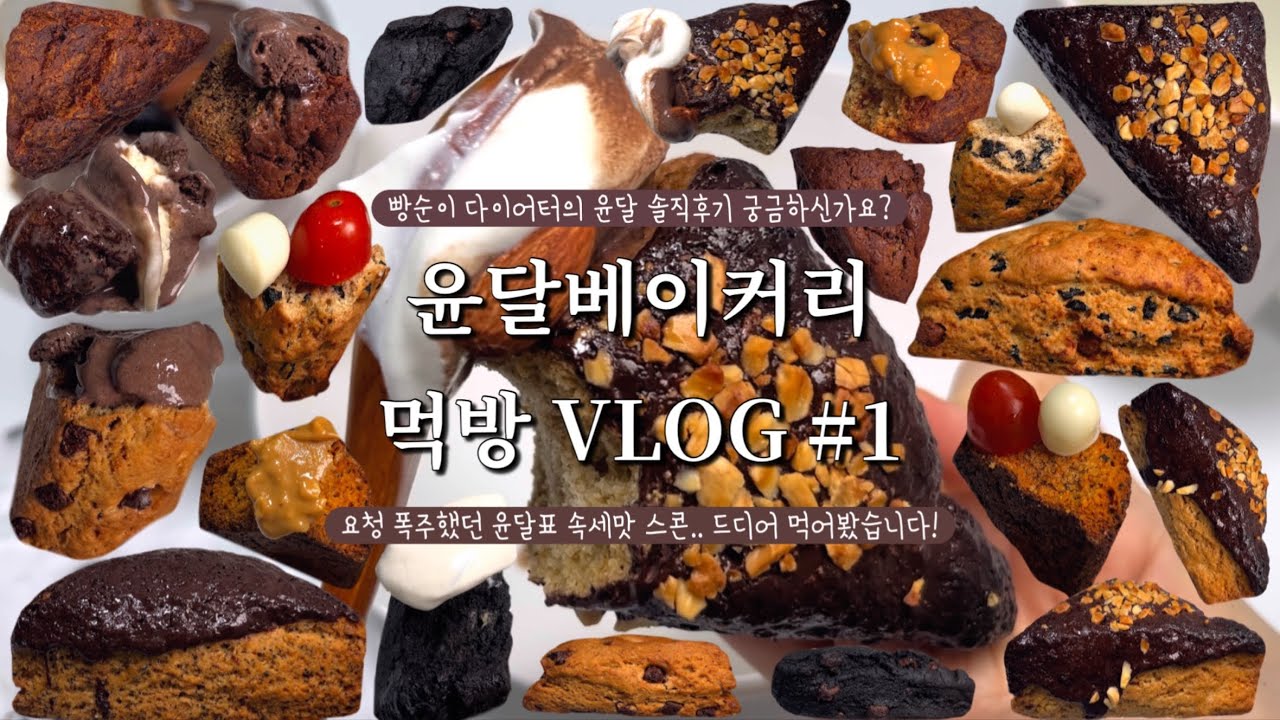 윤달베이커리 삼각이 ASMR #1 | 스콘 겉바속촉하게 굽는 방법✨피넛, 모카초코칩, 이구동성, 초코퐁당밀크티, 초코칩2배, 쑥, 까망몽쉘, 아몬드빼빼로, 올리브치아바타