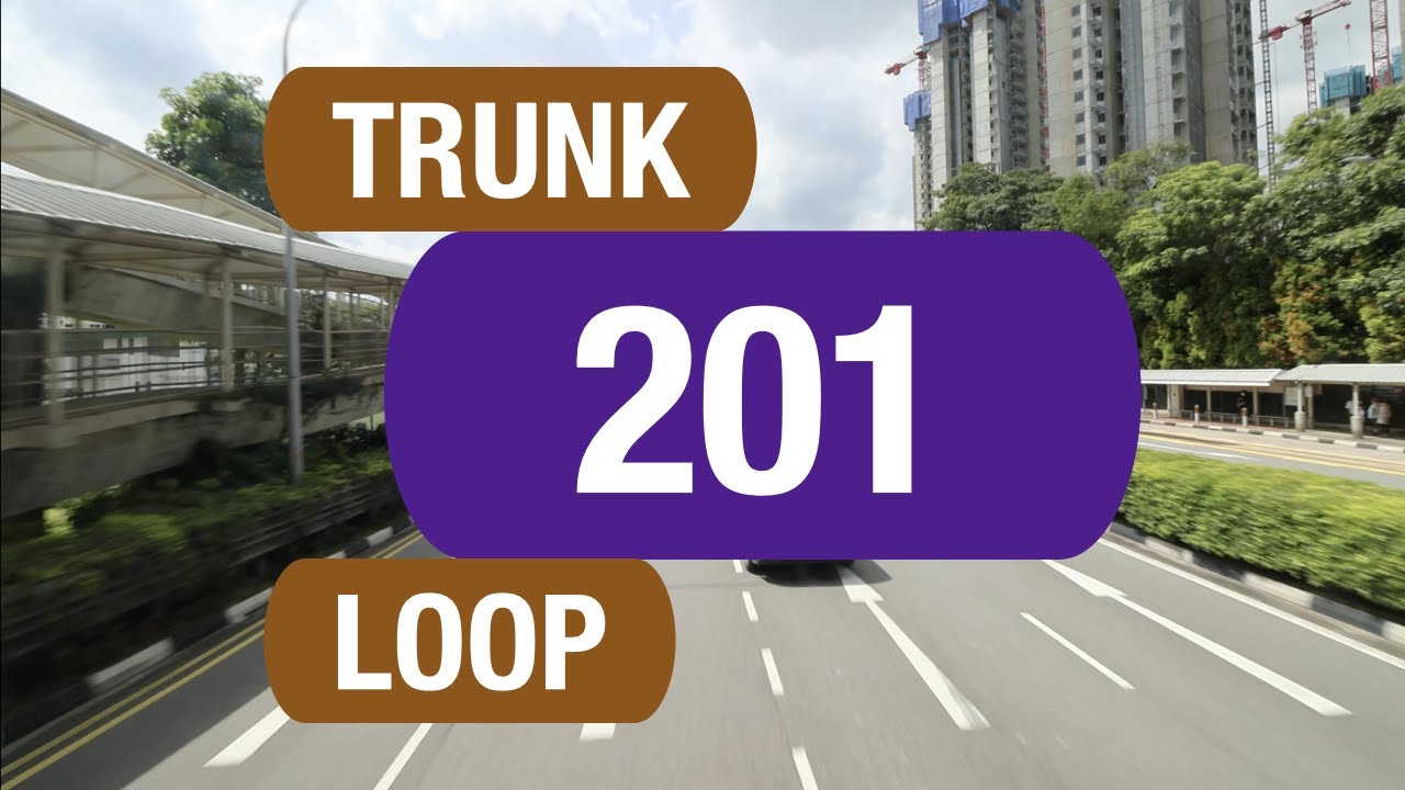SBS Transit Trunk 201 | Bus Service Route Visual