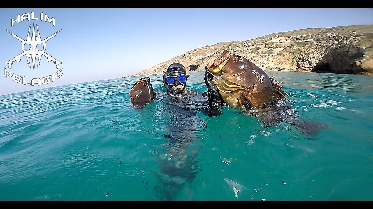 chasse sous marine mérous Oran Algérie/صيد سمك الميرو في وهران الجزائر