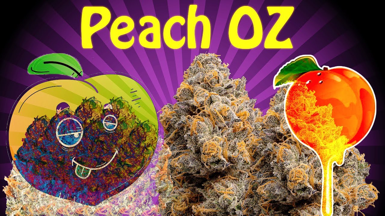 Wonderbrett PeachOZ #StrainReview