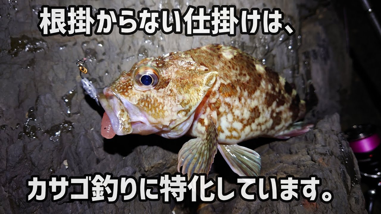 【カサゴ釣り】今年一番釣れた仕掛け。