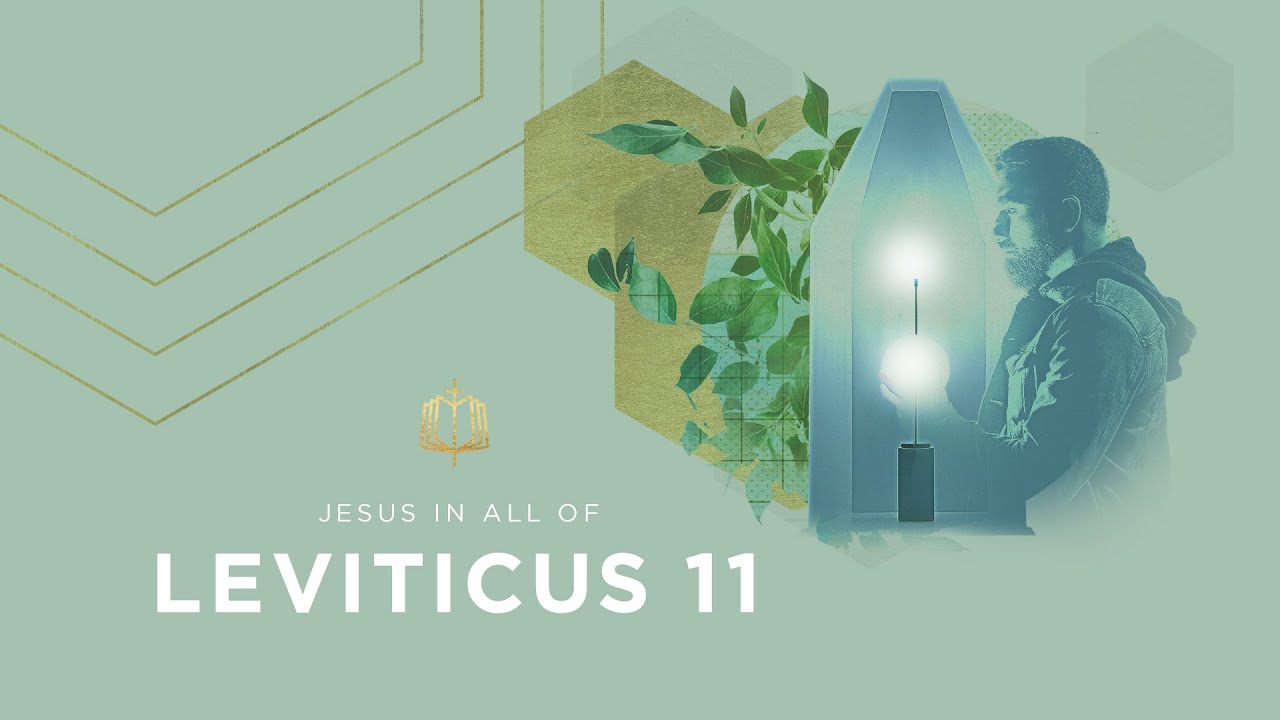 Leviticus 11 | Clean and Unclean Animals | Bible Study