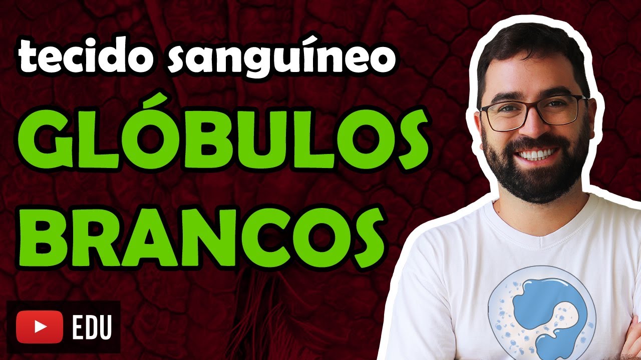 Leucócitos (Glóbulos Brancos) - Aula 12 - Módulo VII: Histologia e Fisiologia Humana | Prof. Gui