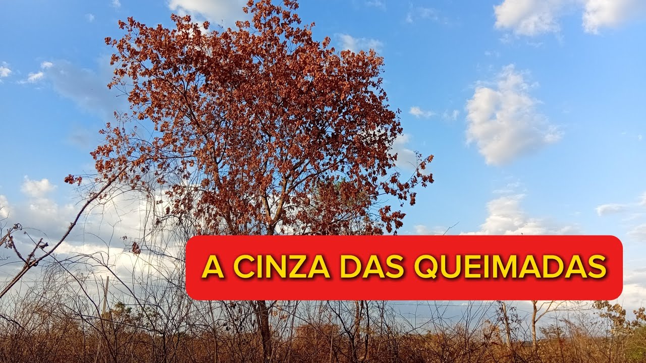 HOJE FOMOS EM BUSCA DA CINZA DAS QUEIMADAS 