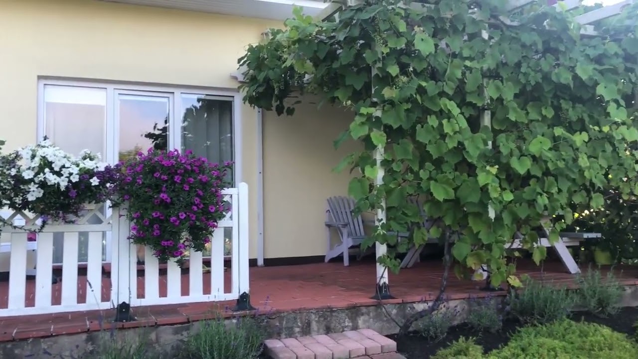322.Mājas dārzs 22 07 2024 Ainavu Arhitekts Agris Akons plāno ārtelpu. Rehabilitācija, terapija.
