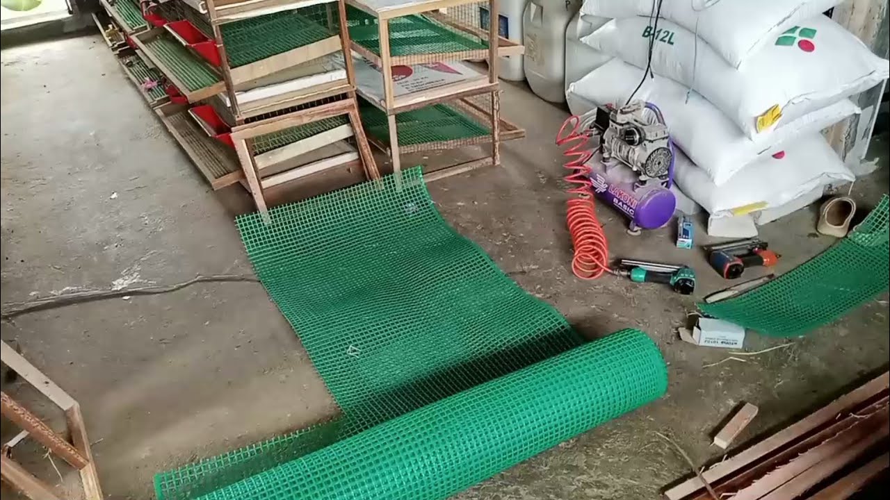 Proses pembutan  kandang puyuh di reisha puyuh fram 