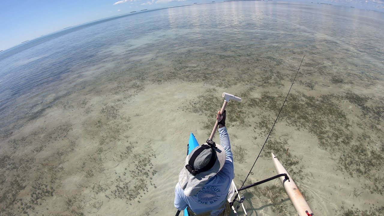 Islamorada flat fishing Be Like...