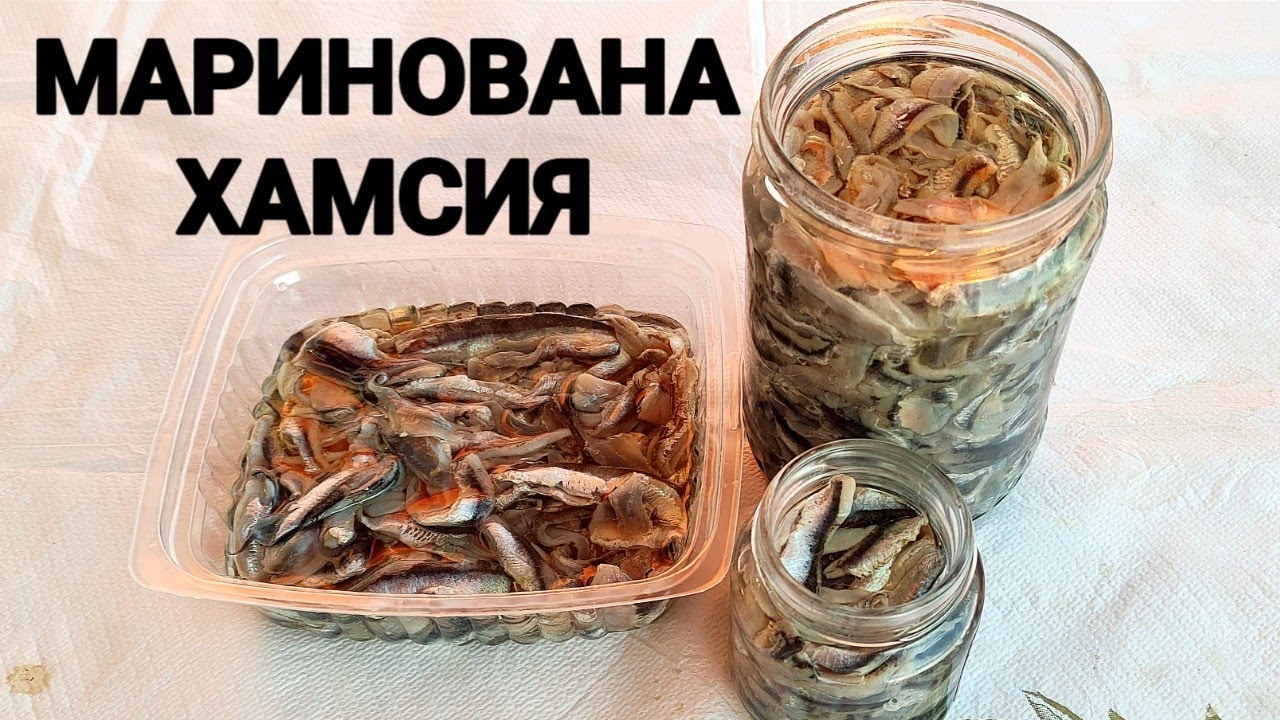 МАРИНОВАНА ХАМСИЯ! ДРЕБНА, НО МНОГО ВКУСНА РИБКА! ЗАСЛУЖАВА СИ ДА СЕ ОПИТА! СЕМПЛА РЕЦЕПТА!!!