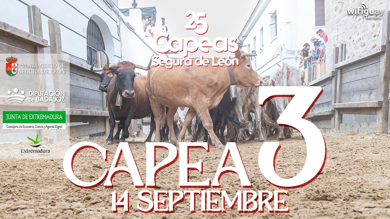 Capea 3 DOMINGO 14 de Septiembre - CAPEAS Segura de León 2025