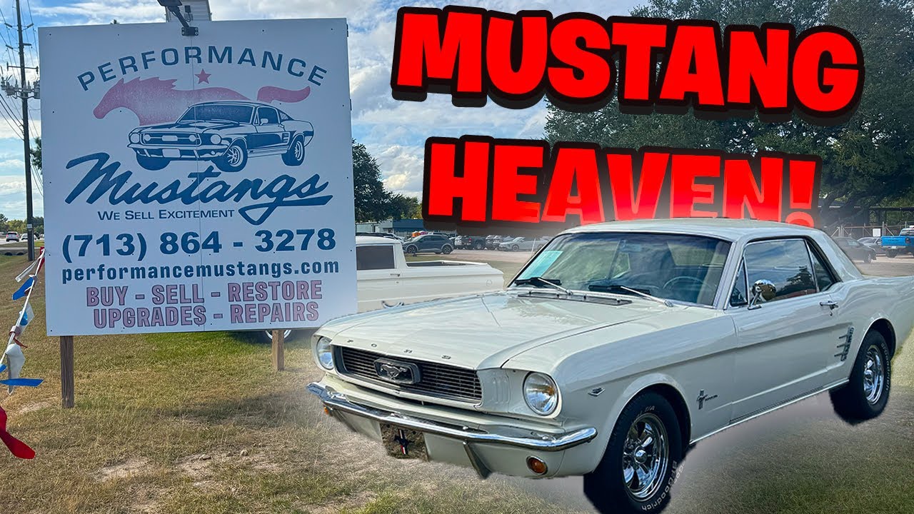 MUSTANG HEAVEN! Lot Walkthrough of Our Classic Mustang Inventory