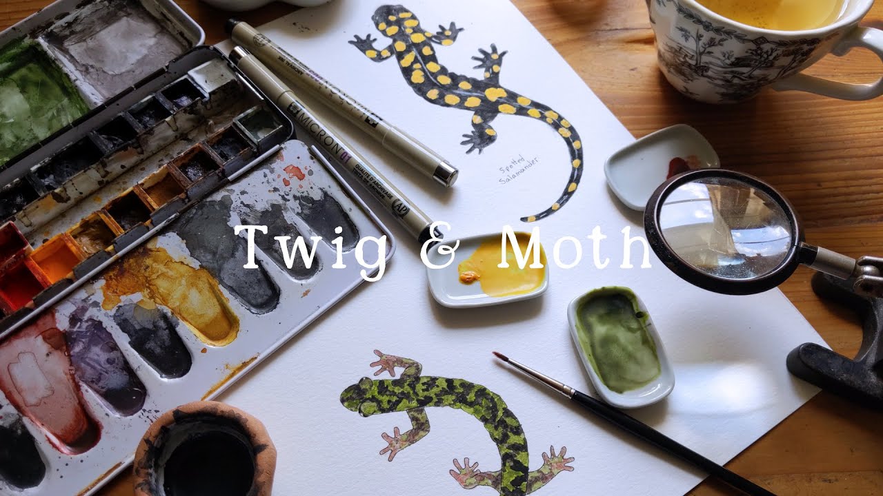 Painting Watercolor Salamanders