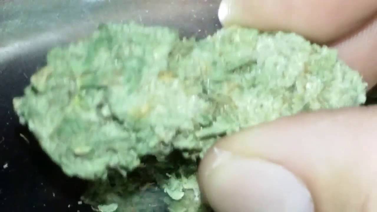 Banana Og Review