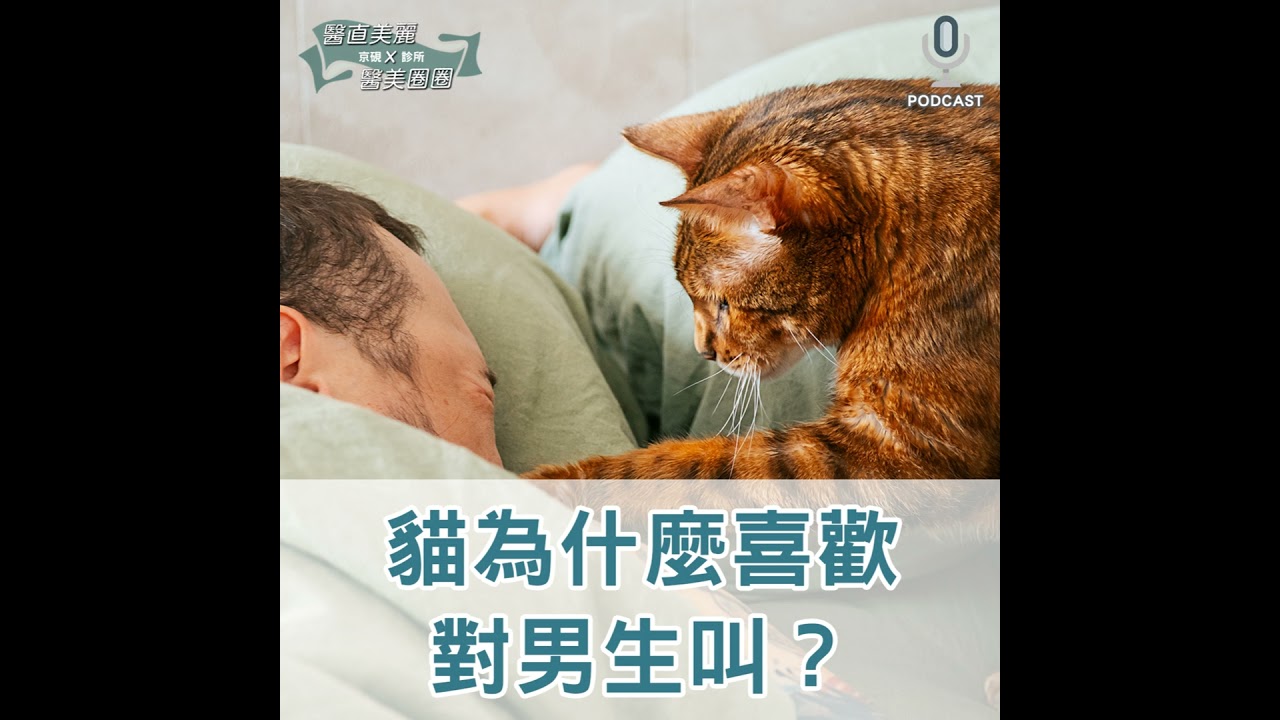 【S2 EP.132】貓為什麼喜歡對男生叫？養狗會降低異位性皮膚炎的發生率？