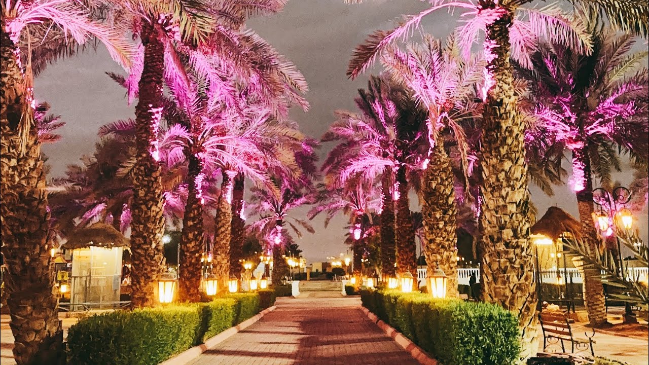 حديقة الطيور في تبوك الورد حي المهرجان بعد التجديدات الأخيرة ١٤٤٦ هـ ٢٠٢٤ م green land tabuk