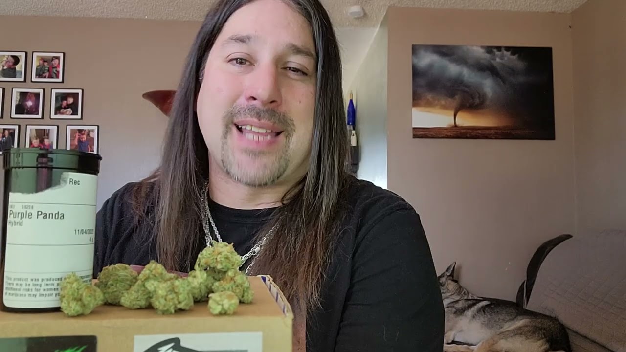 Dan's 420 Chronicles - Purple Panda / Weed Review 11/11/22