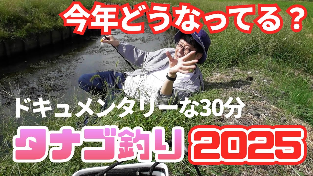 【タナゴ釣り2025】今年どうなってる？／佐久間一行
