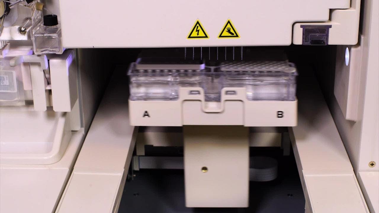 How to Set up a Sanger Sequencing/ Fragment Analysis Run