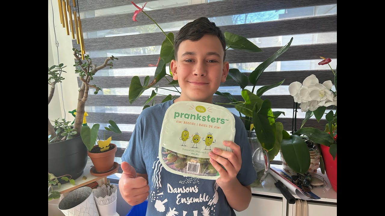 Little Pranksters Kiwi Berries Kids Approved