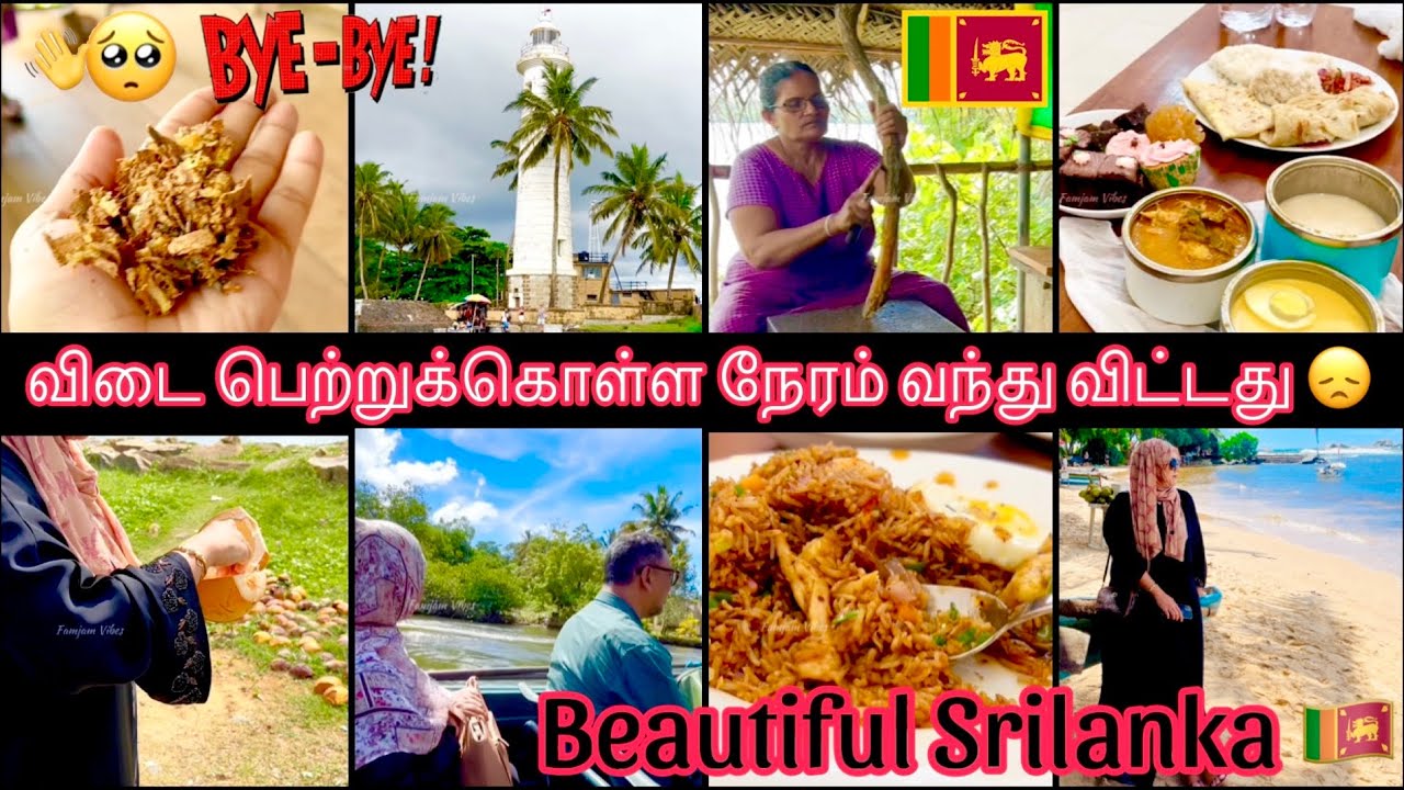 Last Vlog From Srilanka 🇱🇰 | நான் சுற்றி பார்த்த இடங்கள் | ஊருக்கு கிளம்பியாச்சு | Tamil Vlog