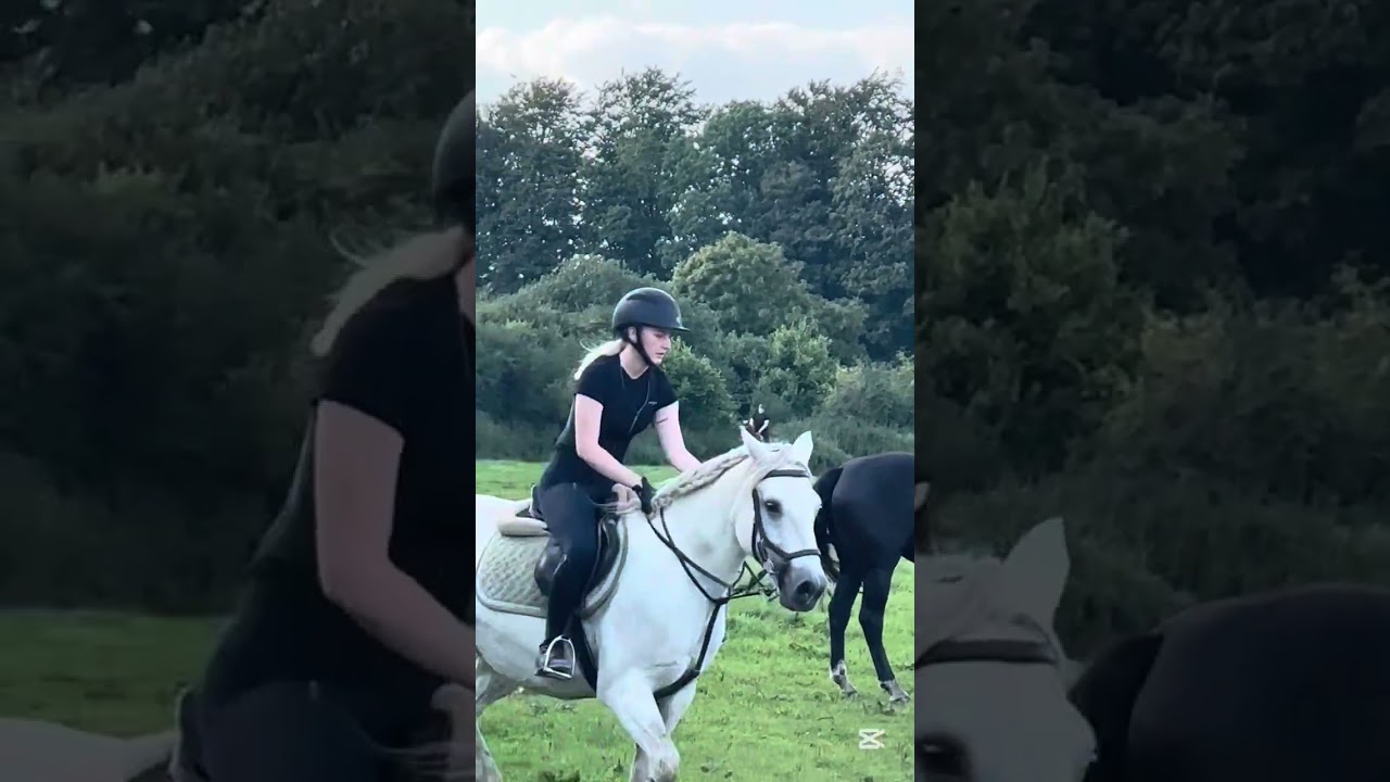 Video af ridning