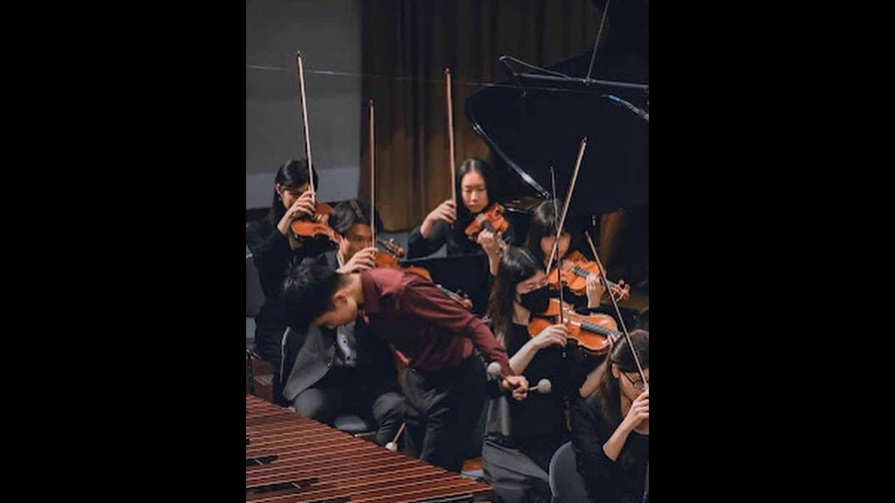 Sergei Golovko: Colombian Marimba Concerto,1st movement