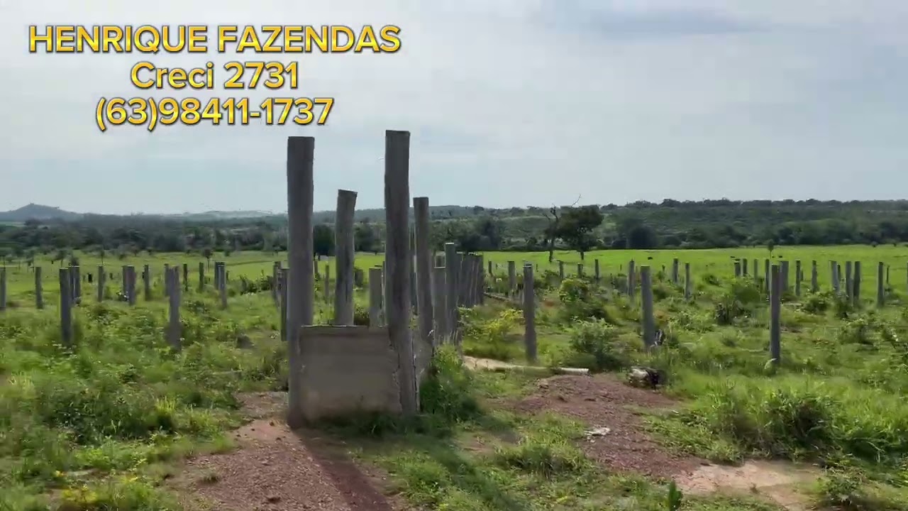 FAZENDA CULTURA 80 ALQUEIRES TOCANTINS