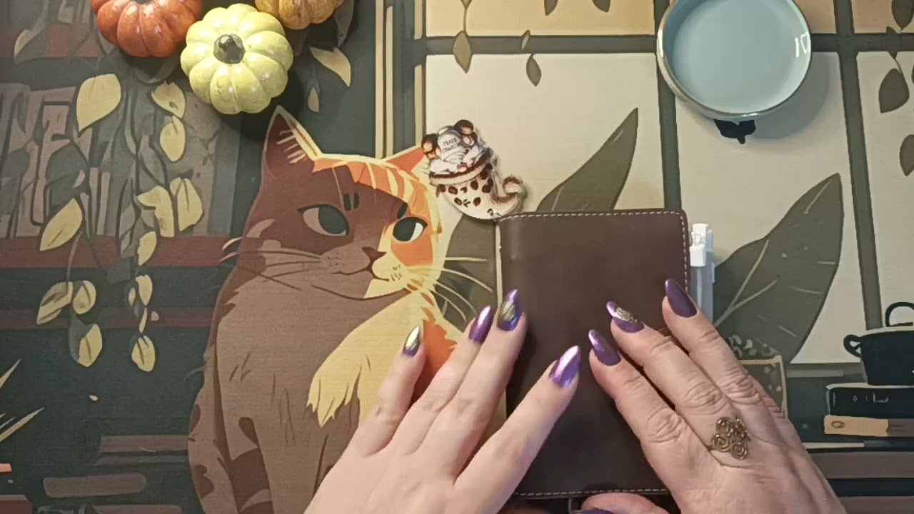 🍁 Bilan semaine 3 d'octobre + papotage - système des enveloppes budgétaires 🍁