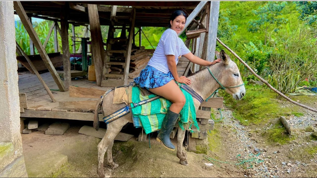 Te enseño como aprendi a montar burro en el campo
