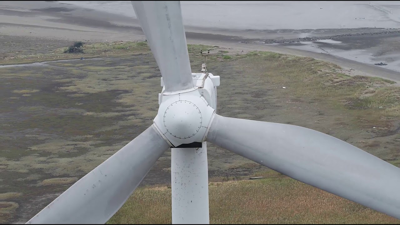 海山漁港風力發電機