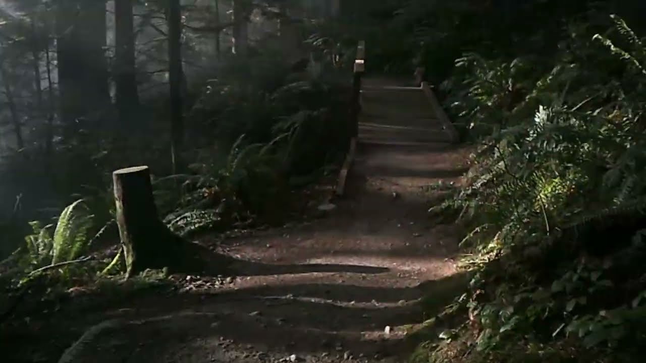 Burnaby Mountain Hike