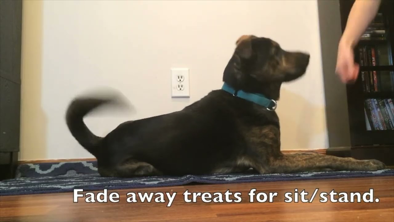 Relaxation Steps 2 and 3