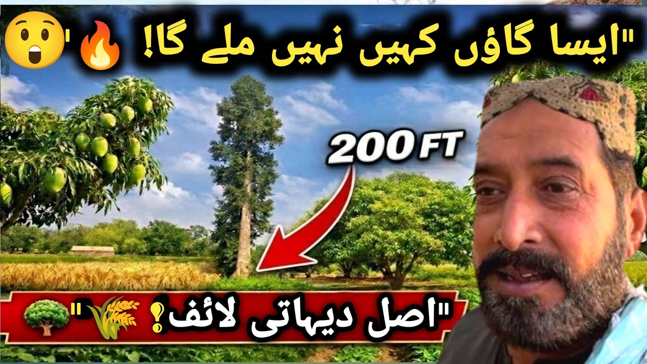 You’ve Never Seen a Village Like This! 😲 200 FT Tall Tree & Real Rural Life 🌾🔥