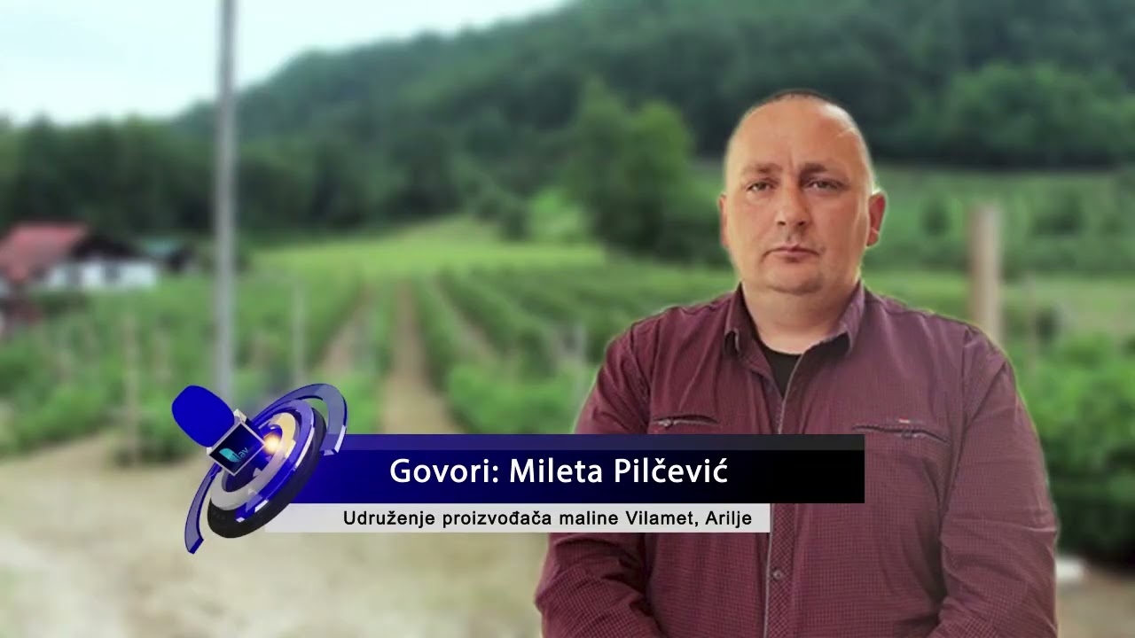 ARILJE 20.02.2025. Bez zaključaka i sa treće sednice Radne grupe za poboljšavanje tržišta maline