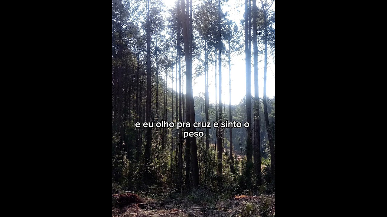 Pregos Que Eu Levei