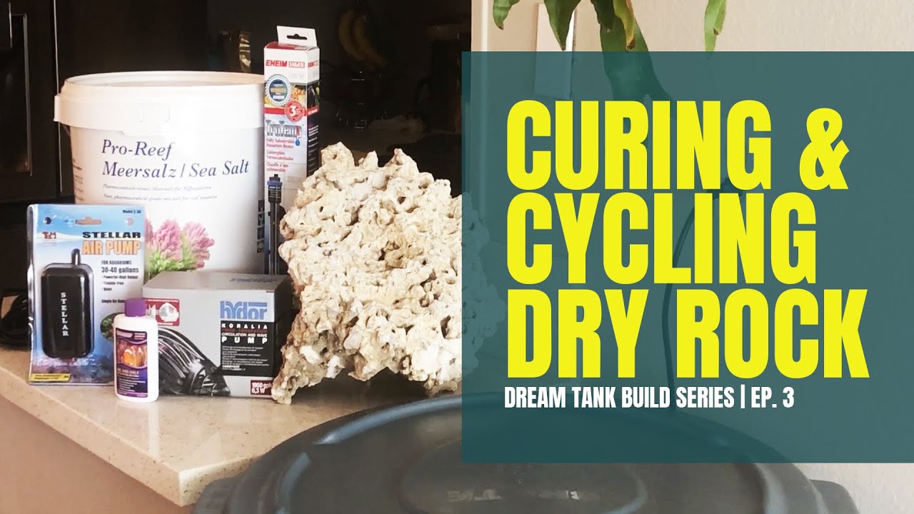Dream Reef Tank Build Series | Ep. 3 | Curing and Cycling Dry Rock