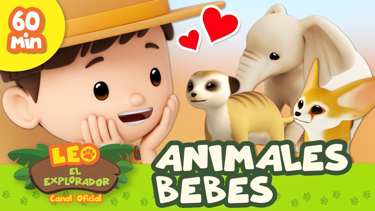 &iexcl;Animales BEB&Eacute;! 🍼 Perezoso, Zorro del Desierto y M&aacute;s | 60 MIN | Leo, El Explorador | Animaci&oacute;n Ni&ntilde;os