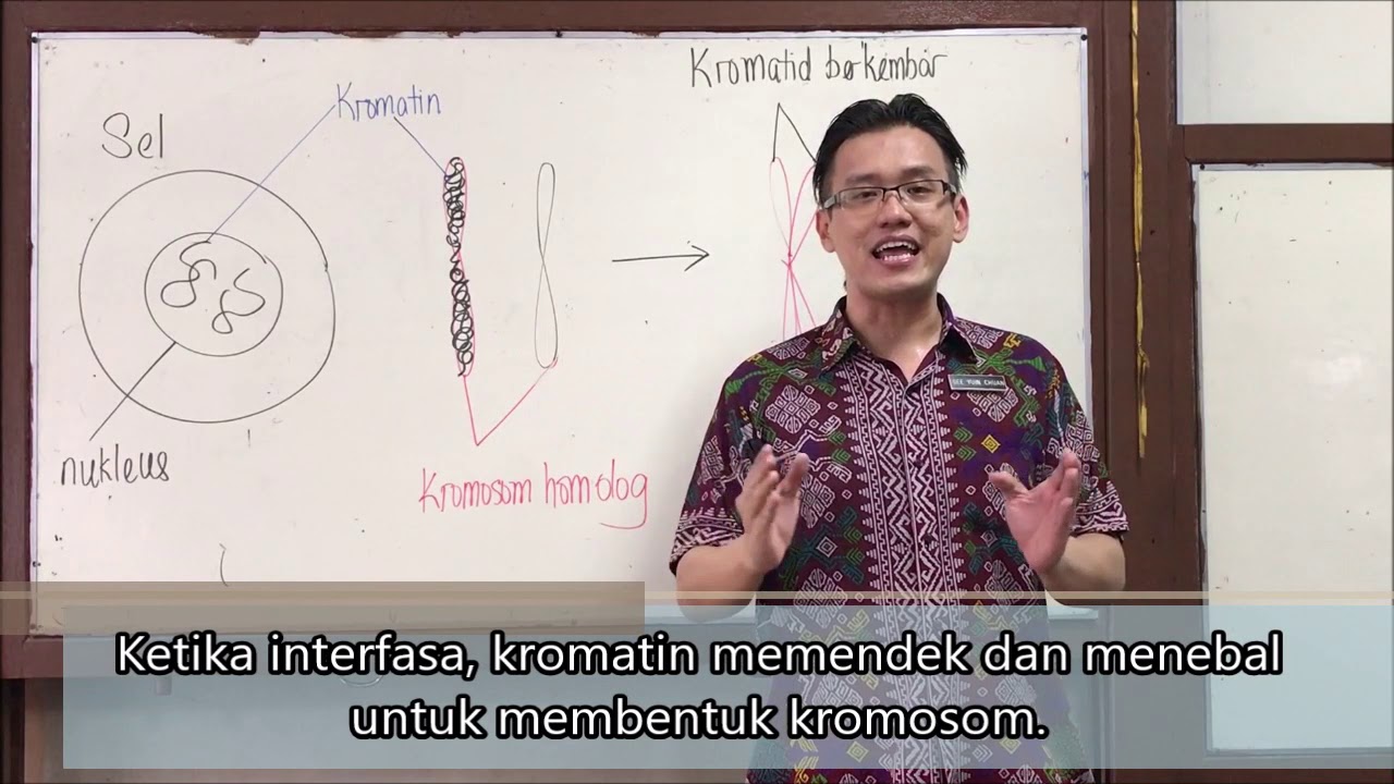 KSSM T4 Biologi-Kromatin, kromosom dan kromatid
