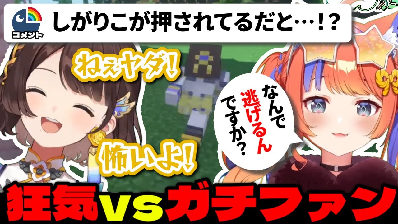 やっとできた後輩が自分のガチファンであることを知って恐怖するしがりこ【にじさんじ切り抜き/司賀りこ/猫屋敷美紅】